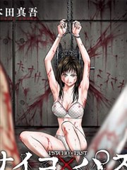 黑天鹅作品封面